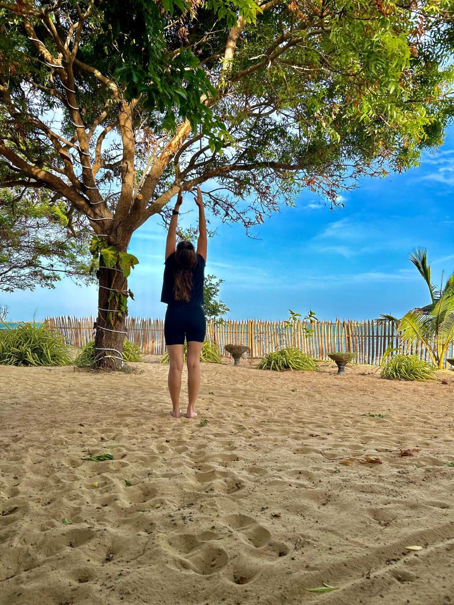 Arasi Resort カルピティヤ エクステリア 写真
