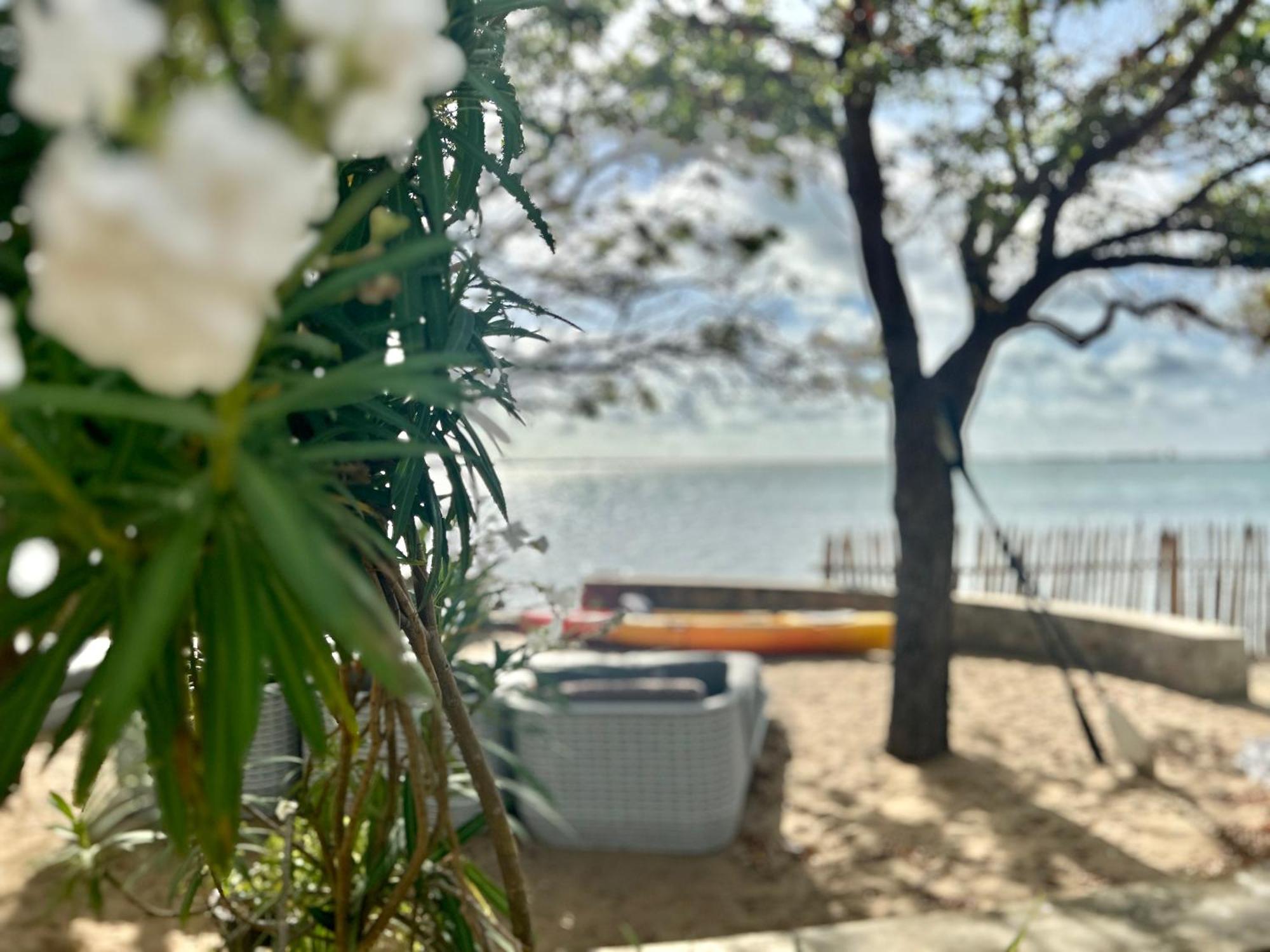 Arasi Resort カルピティヤ エクステリア 写真